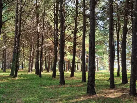 Terreno en Venta de 1500,0 m2