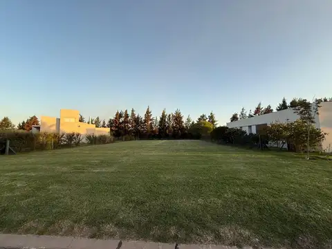 Avenida Arturo Illia 1500