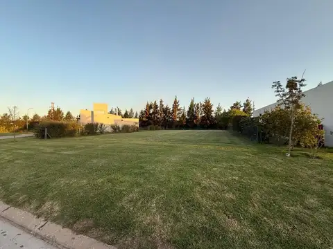 Avenida Arturo Illia 1500