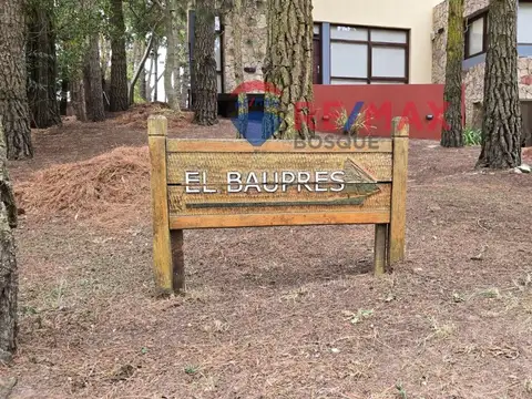 Los Pinos y Pangare 300