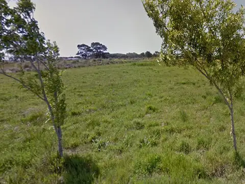 Terreno en Venta 40  mts Fondo