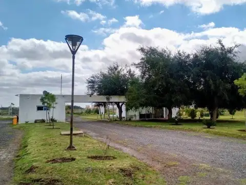 Campos De La Enriqueta