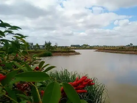Campos De La Enriqueta
