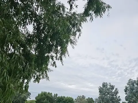 Terreno en Venta de 1335,0 m2