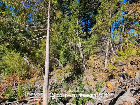 Calle 25, Villa la Angostura