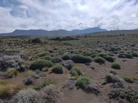 Lago Huechulafquen 100
