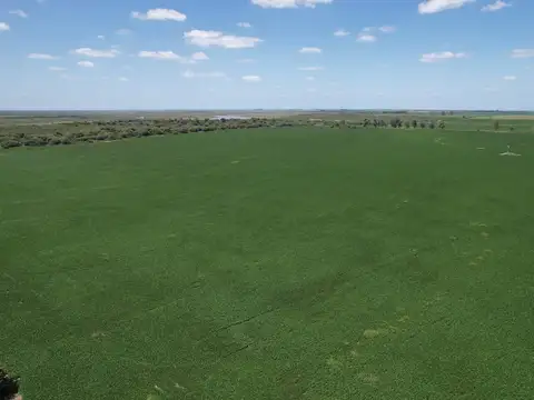 188 hectáreas de aptitud agrícola - Colonia Angeloni - San Justo - Santa Fe