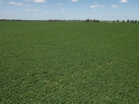 Campo en Venta de 188  ha