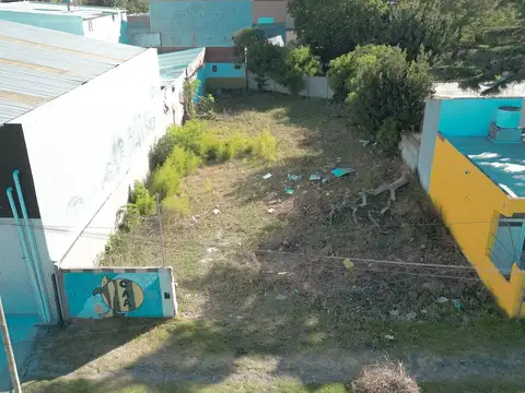 Avenida Mario Bravo 2900