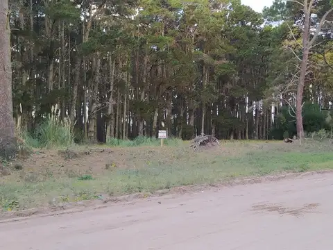 Terreno en Venta 20  mts Frente