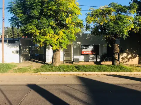 Pedro de Mendoza 500