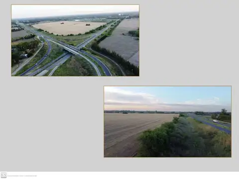 56Hecateras OPEN DOOR