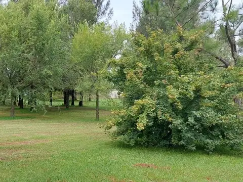 Terreno en Venta de 1778,0 m2