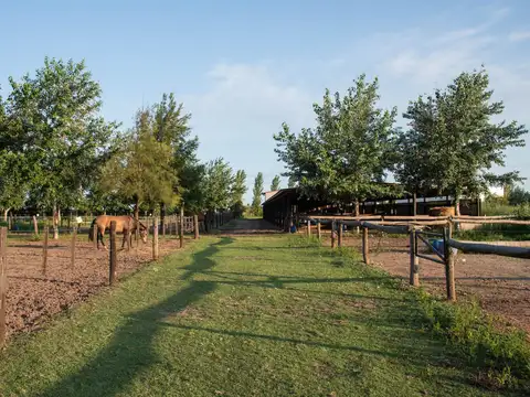 Terreno en Venta 25  mts Frente