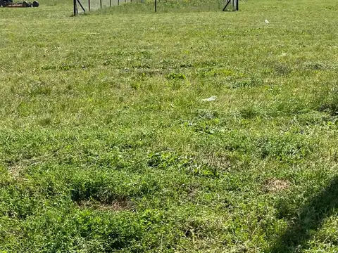 Terreno en Venta de 300,0 m2