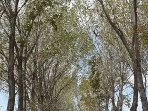 Casa en Venta con 4 cocheras