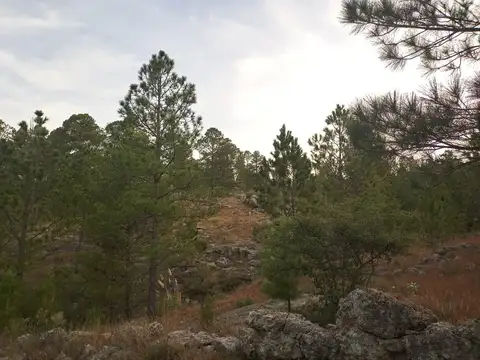 Terreno en Venta de 5834,0 m2