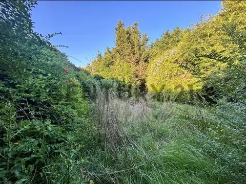 Terreno en Venta 10  mts Frente