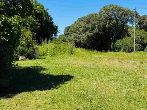 Terreno en Venta de 825,0 m2