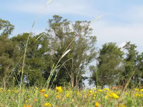 LOTE A LAGUNA en San Lucas, excelente ubicación. Canning-San Vicente.