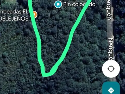 Lisandro de la Torre