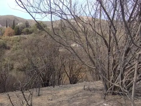 Lisandro de la Torre