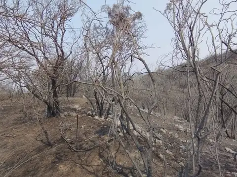 Terreno en Venta en La Falda, USD 40.000