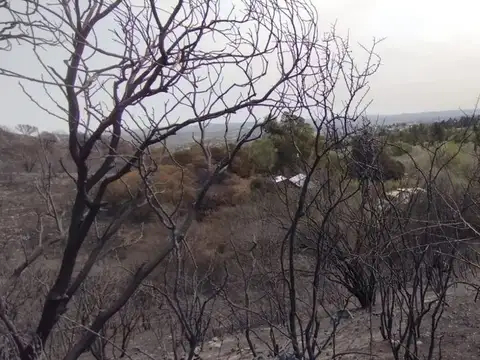 Terreno en Venta de 2014,0 m2