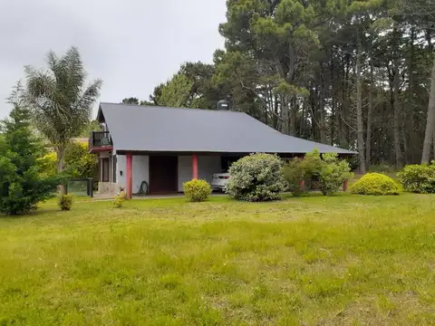 Los Crisantelmos al 100