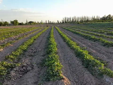 VENTA 47 has Lavalle casa y galpón