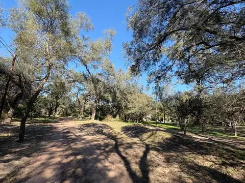 Terreno en Venta de 2500,0 m2