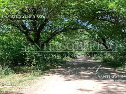 Exaltación de la Cruz