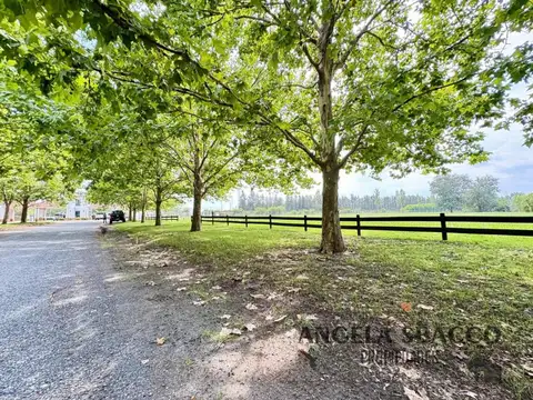 Excelente Terreno en Chacras de la Cruz.
