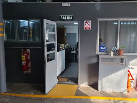 Ruy Díaz de Guzmán 300