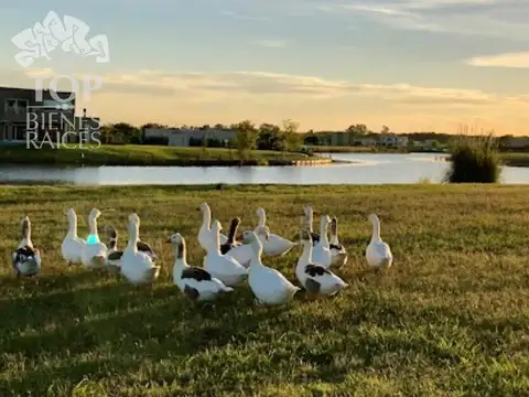 Lote-Venta-Cantón-Islas-Escobar-Interno