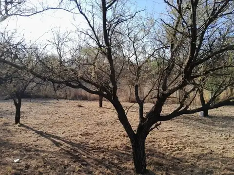 Terreno en Venta en Cruz de Caña, USD 23.000