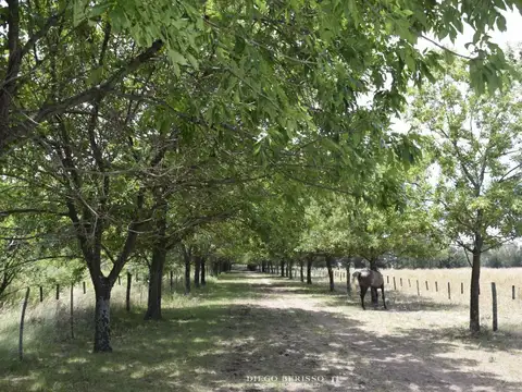 CAMPO EN ZARATE BUENOS AIRES