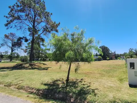 Terreno en Venta 36  mts Fondo