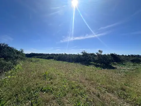 Venta de Campo en Camino Garcés y Ruta 1