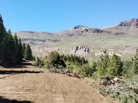 Terreno en Venta de 1230,0 m2