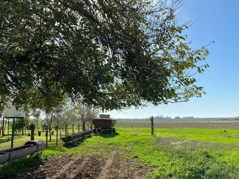 CAMPO MIXTO 36HAS SAN  NICOLAS