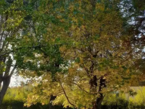 Terreno en Venta en Nueva Atlantis, USD 31.990