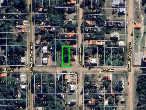 Cobo e/ Lebensohn y De las Carreras