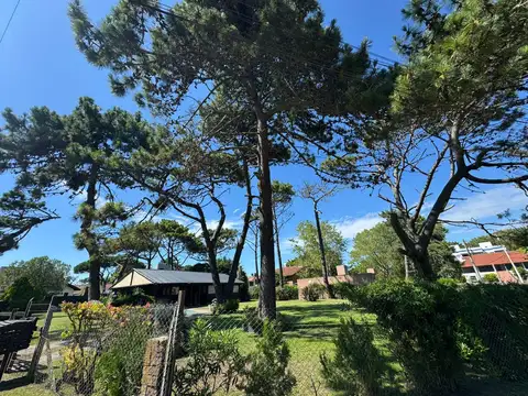 . Alameda 206 y Calle 310 Bis.