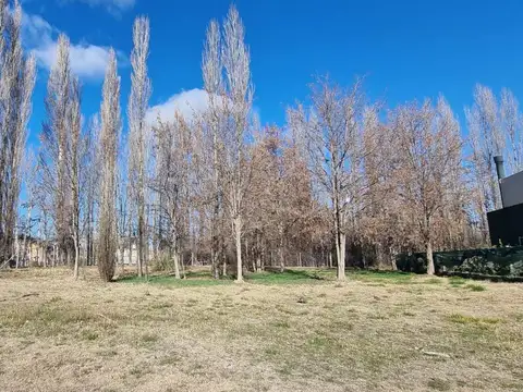 Terreno en Venta de 792,0 m2