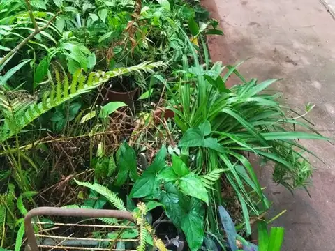 Depto Tipo Casa en Venta de 4 ambientes