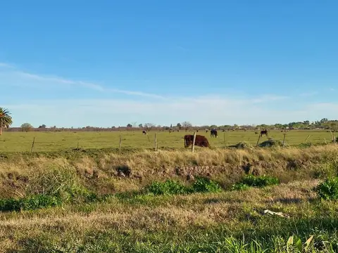 Terreno en Venta de 20000,0 m2