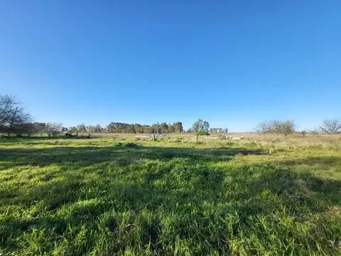 calle san martin 1000