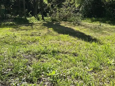 LAS GLICINAS 6 ZARATE 100