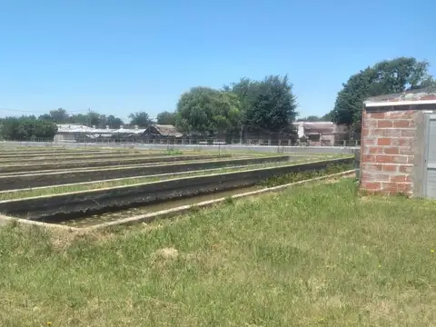 FRACCION de CAMPO con Galpón, Casa en Belén de Escobar